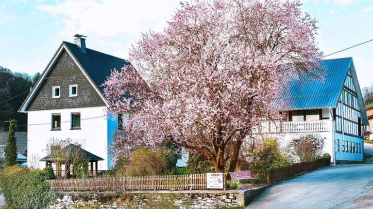 Ferienhaus  Lennestadt