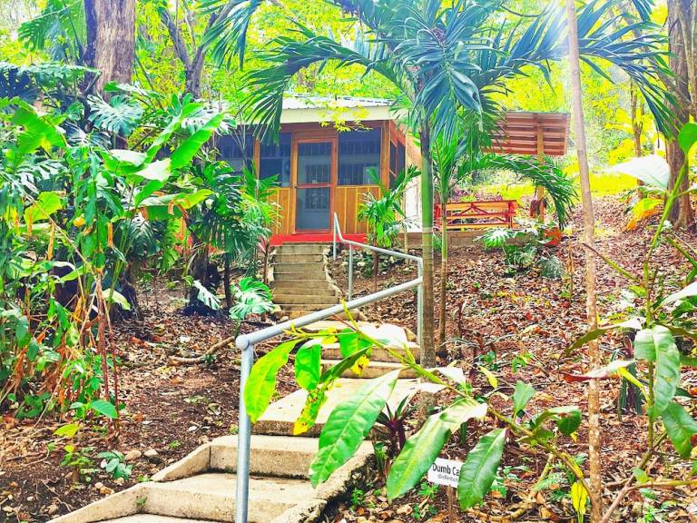 Lodge San Ignacio