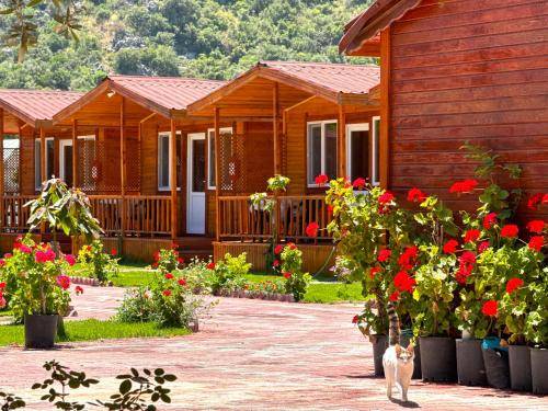 Village vacances Adrasan Mahallesi