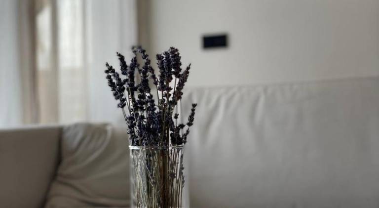 Ferienwohnung  Schwabmünchen