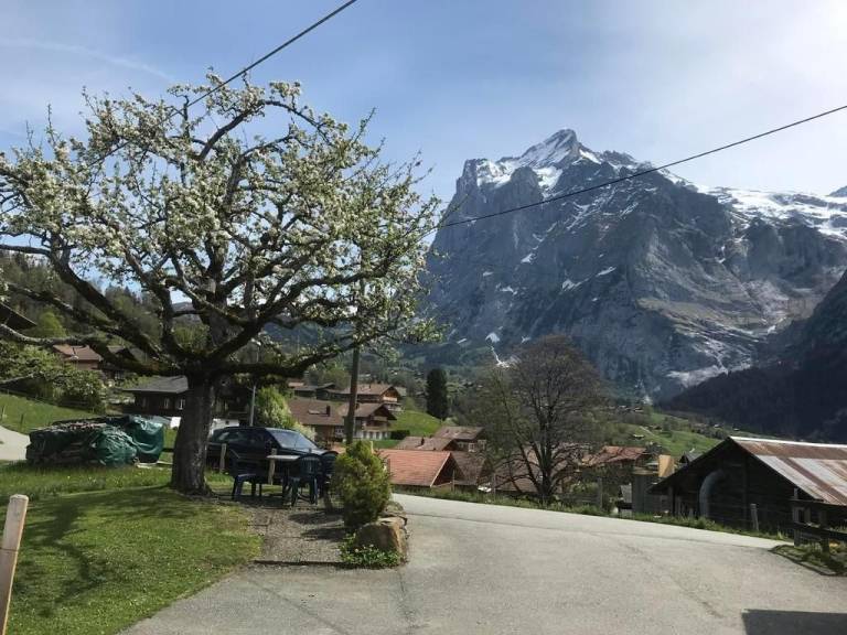 foto19
