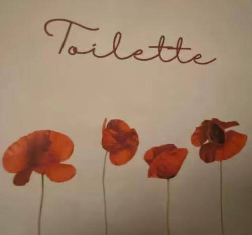 foto1