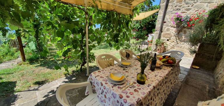 Farm with garden, hot tub & BBQ — photo 3