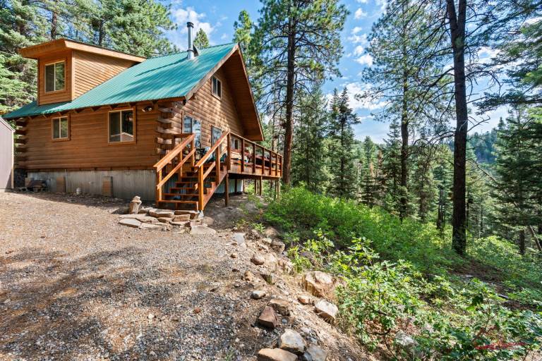 House with barbeque | Mountain view in Durango, CO