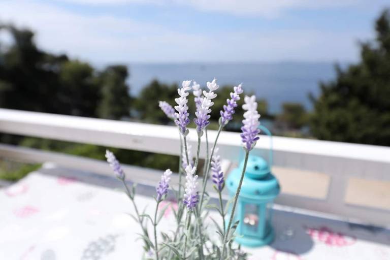 Apartment with grill & patio | Sea view | Close to the beach | Pets allowed — photo 3