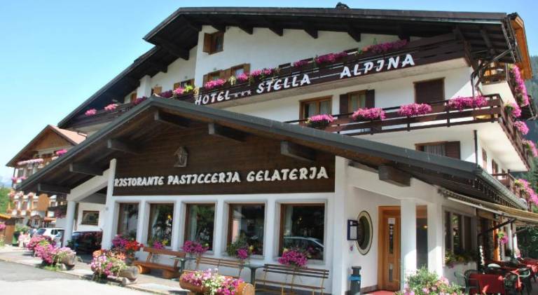 Hotel Stella Alpina in Falcade