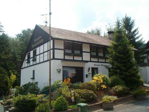 Pension Sonnenschein in Schmallenberg