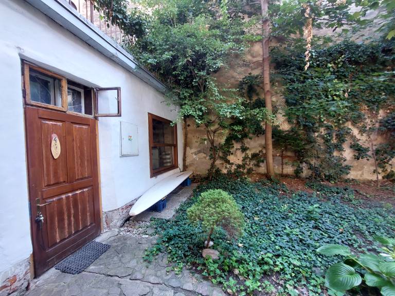Hostel Happy Dog — photo 4