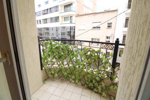 Ferienwohnung Casablanca