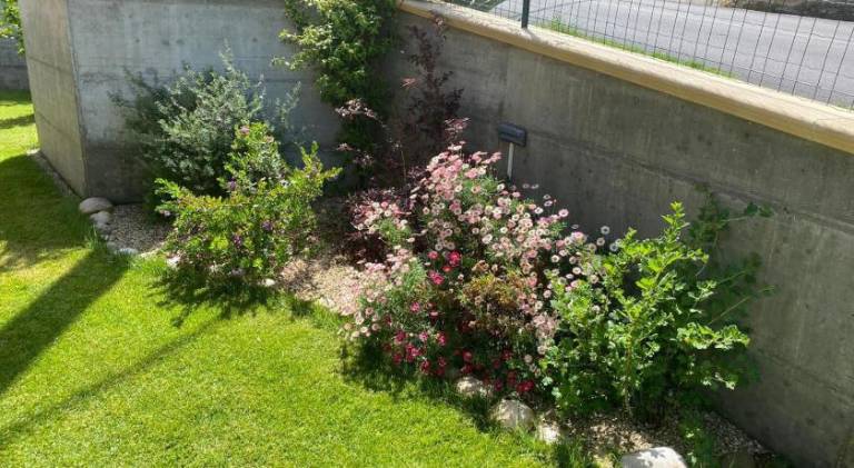 foto47