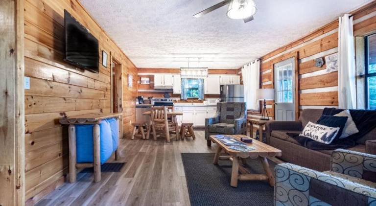 Tranquil Smoky Mountain Cabin Hot Tub & Views — photo 5