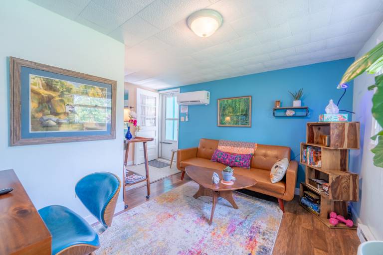 Boho-Chic 1 - Roku TV, Patio, Keurig, Dog-Friendly, Fenced Yard in Bloomington, IN