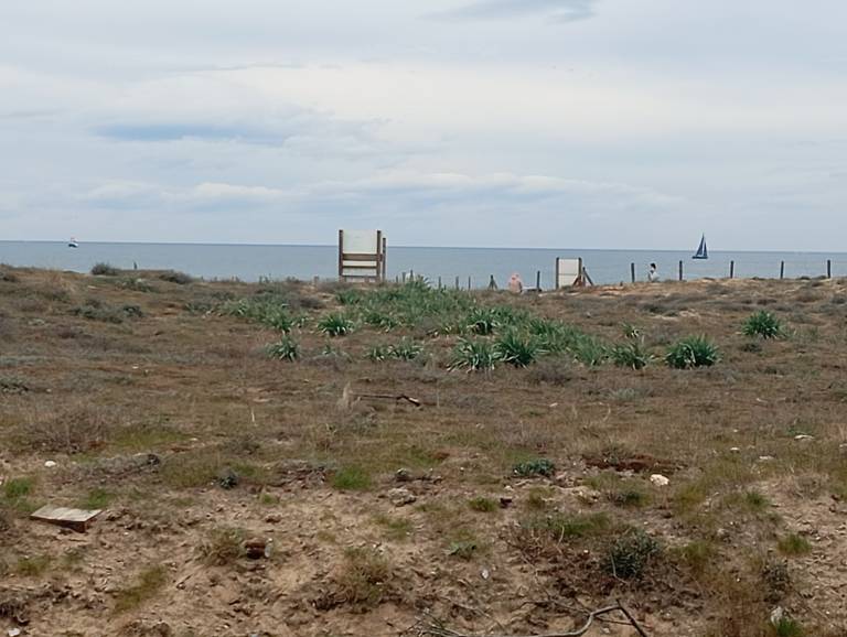 Appartement en copropriété Soorts-Hossegor