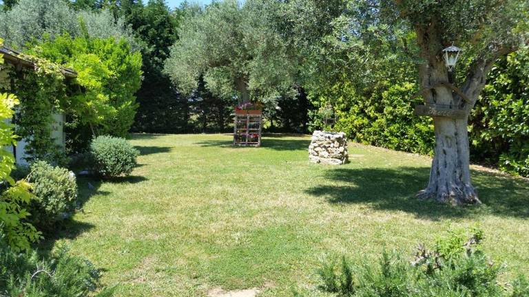 foto16
