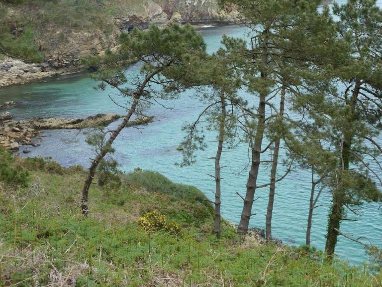 Cottage Poullan-sur-Mer