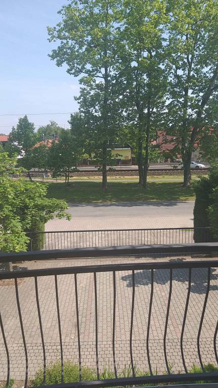 foto6