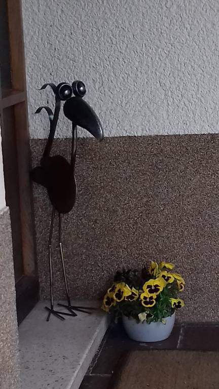 foto28
