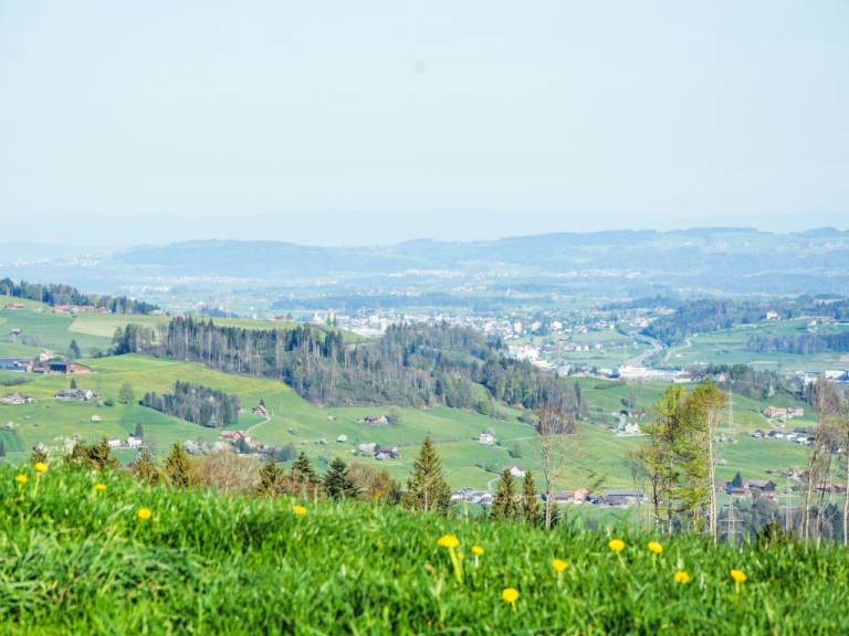 foto12