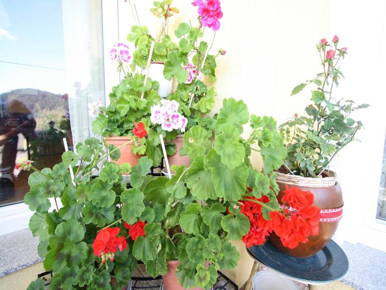 foto32