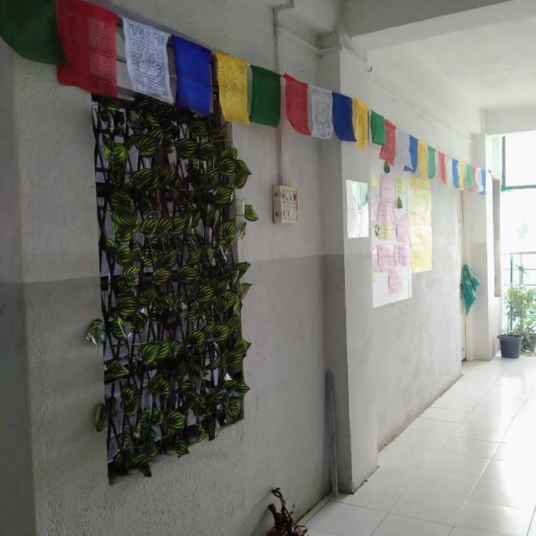 foto8
