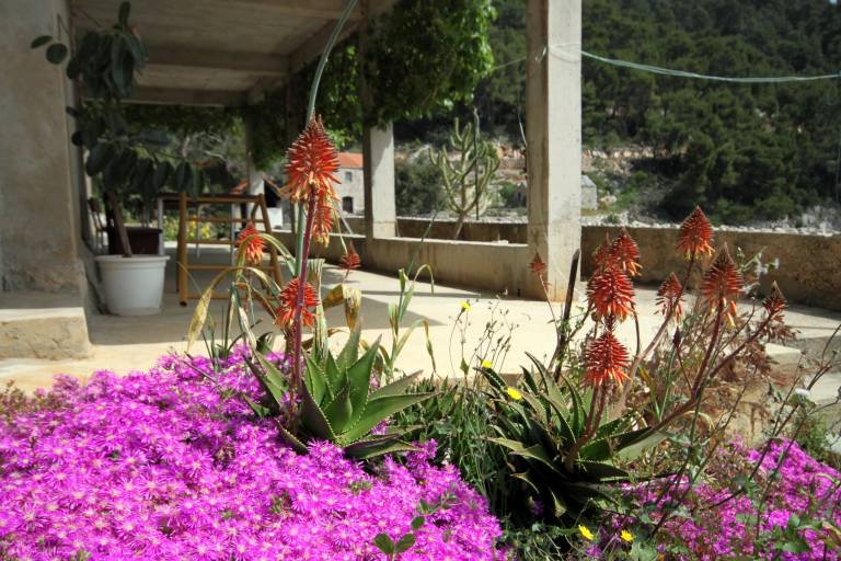 foto41