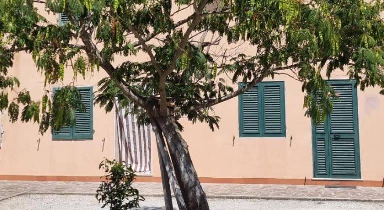 Pisa Town 2 — photo 4