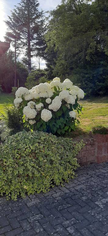 foto11