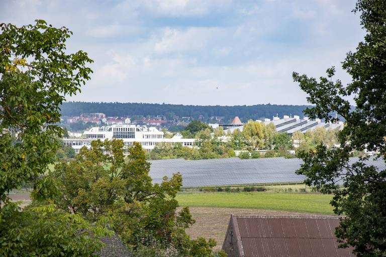 foto11