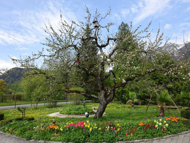 foto20