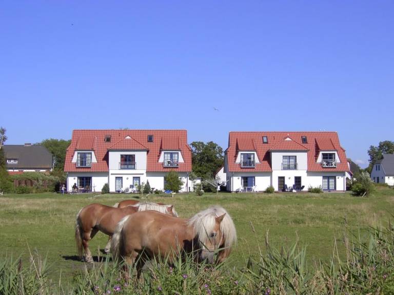 Urlaub auf der Ostseeinsel Hiddensee: Ferienwohnungen in Vitte - HomeToGo