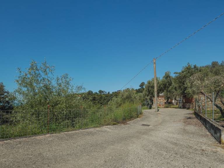 foto40