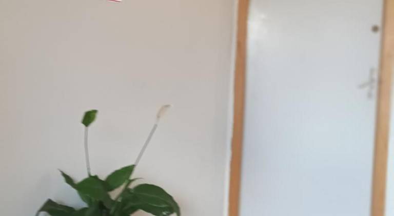 foto23
