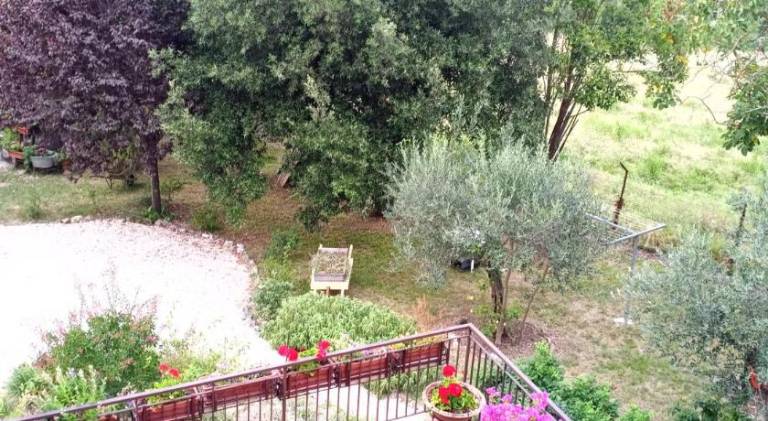 Tra grilli e cicale — photo 4