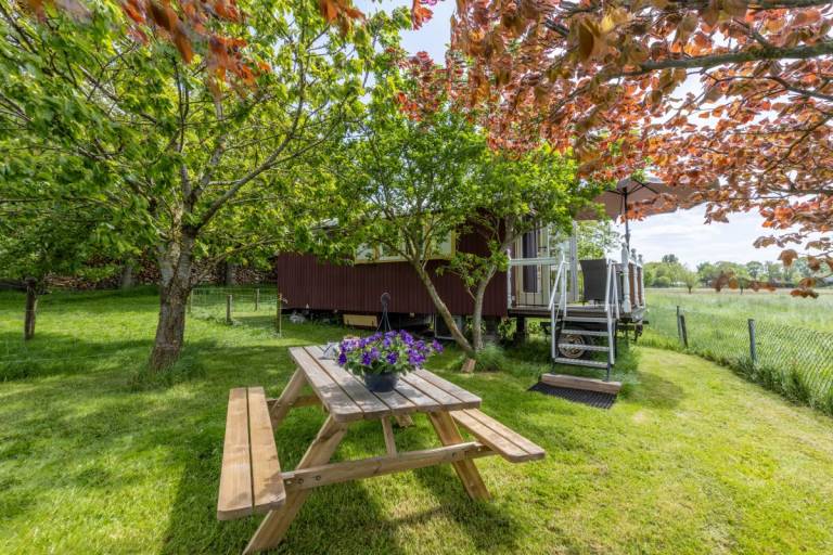 DG316 Ferienhaus im Wezep