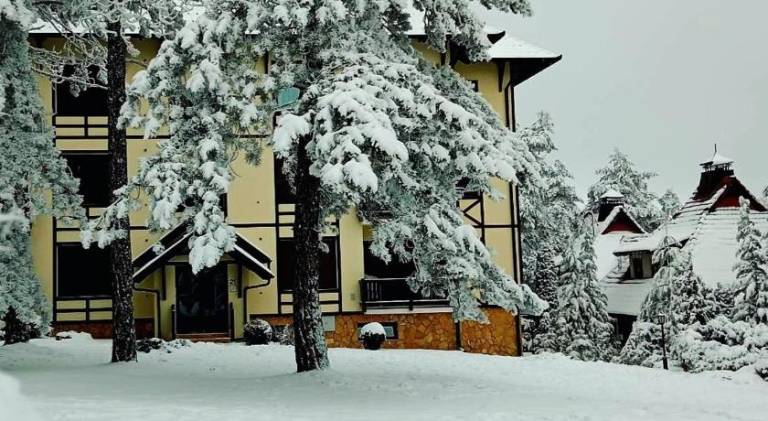 Charming apartment | Pet-friendly in Zlatibor