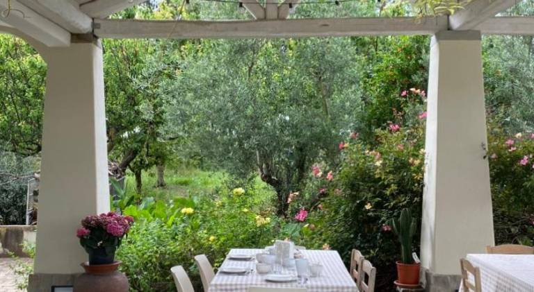 Apartment with pool, terrace & yard | Pets allowed — photo 4