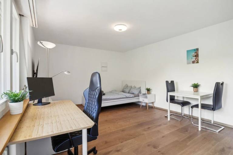 Ferienwohnung Schaffhausen