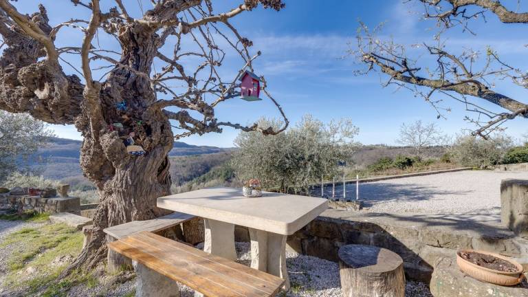 Apartma Nova Vas nad Dragonjo