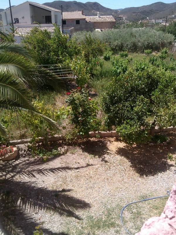 foto5
