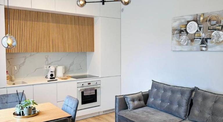 Rental apartment | Pets allowed in Kaunas