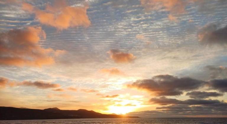 Wonderful holiday apartment | Beach nearby | Good for workation | Pets are welcome in Las Palmas de Gran Canaria