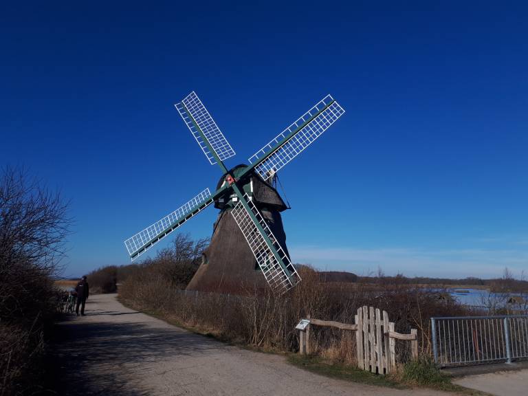 foto23