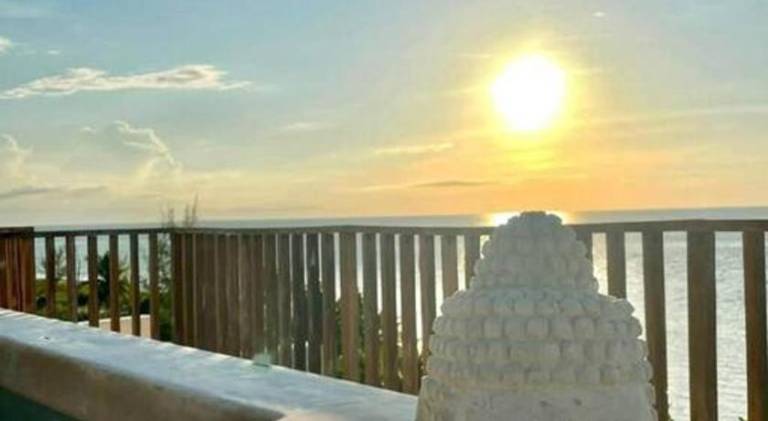 House with pool | Dogs allowed in Isla Holbox