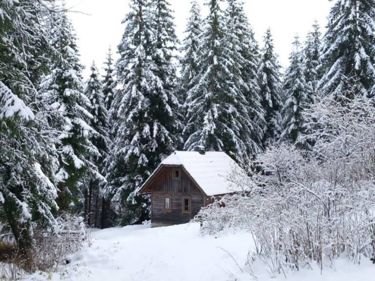 Ferienwohnung Krakautal