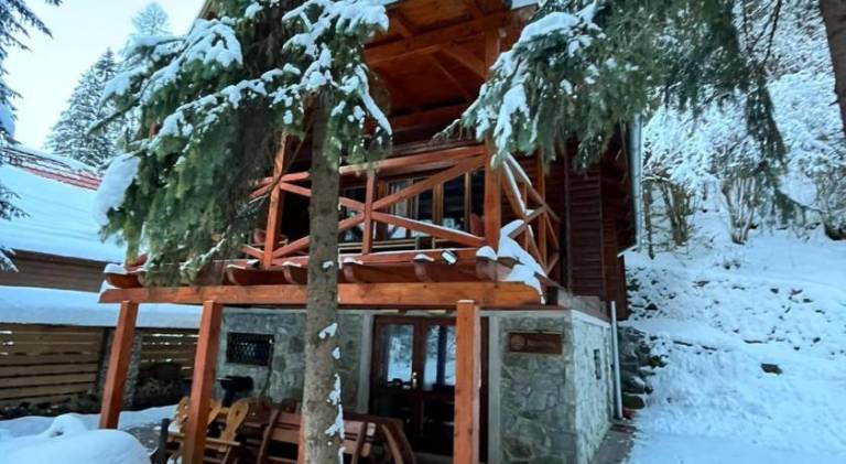 Domek w stylu alpejskim Demianowska Dolina