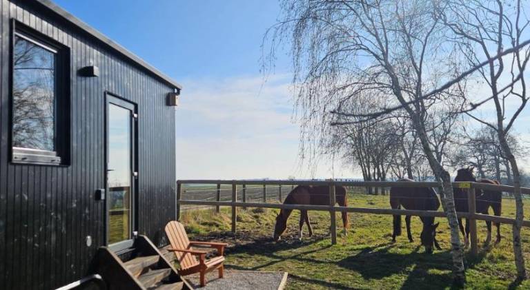 Chalet | Pet-friendly — photo 4