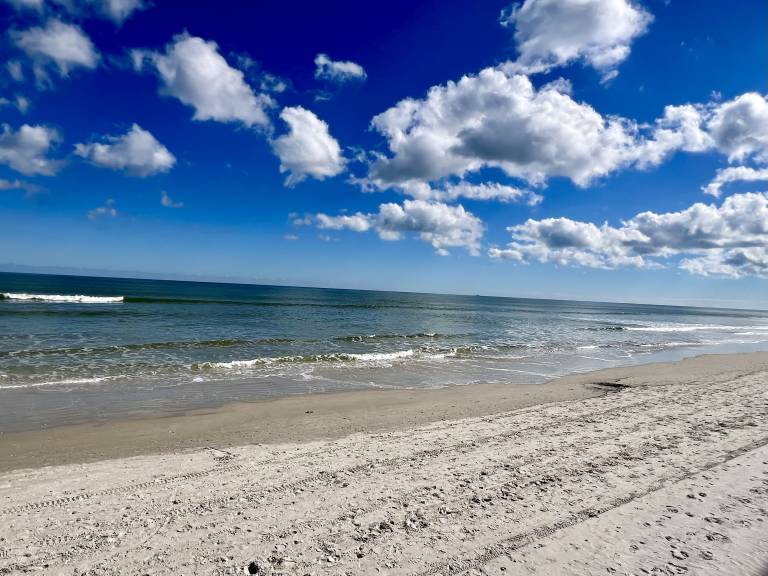 Condo New Smyrna Beach