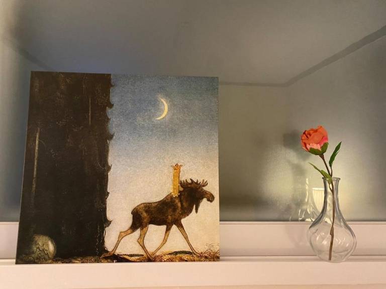 foto26