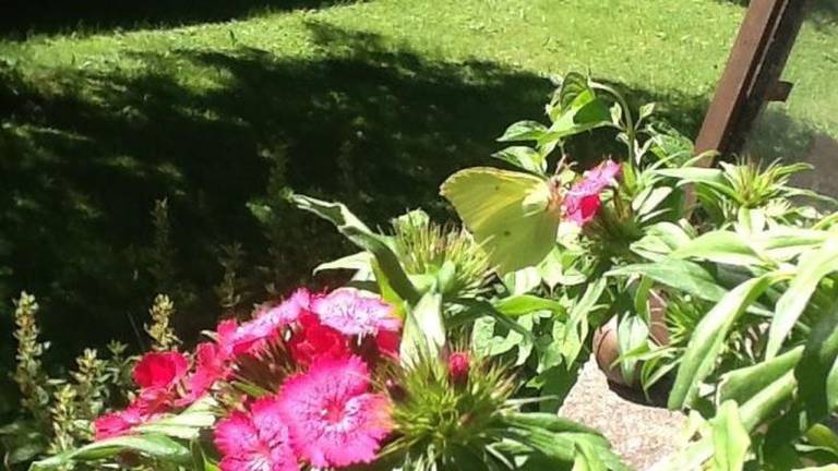 foto8