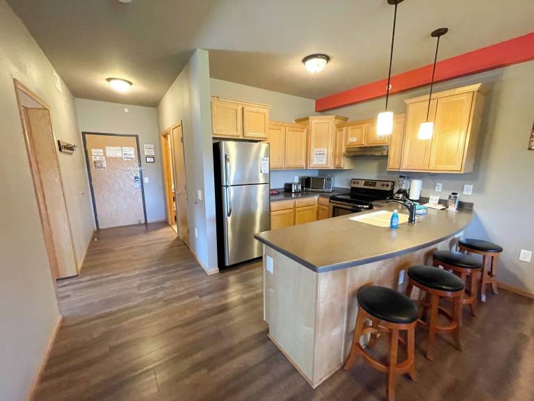 Condo Lake Delton
